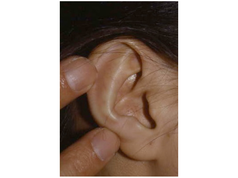info_on_the_ear_0041_Evaluation